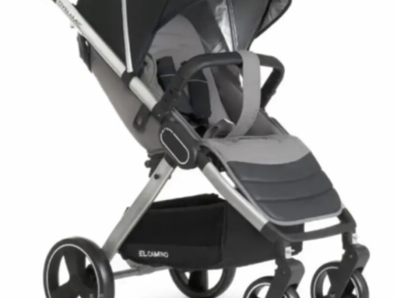 Коляска прогулянкова El Camino Dynamic V2 ME-1053-Onyx темно-сіра pelican