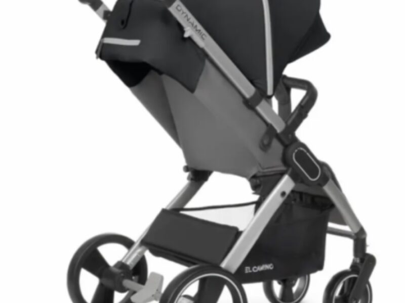 Коляска прогулянкова El Camino Dynamic V2 ME-1053-Onyx темно-сіра pelican