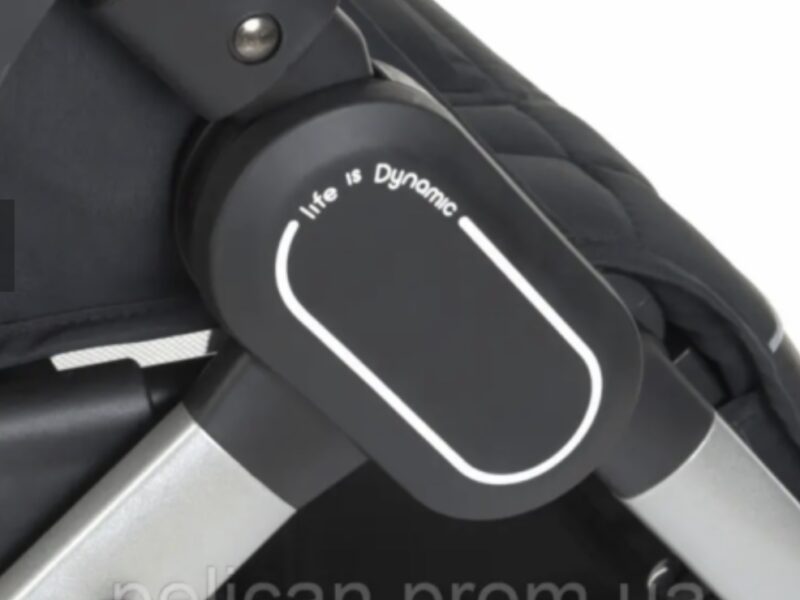 Коляска прогулянкова El Camino Dynamic V2 ME-1053-Onyx темно-сіра pelican