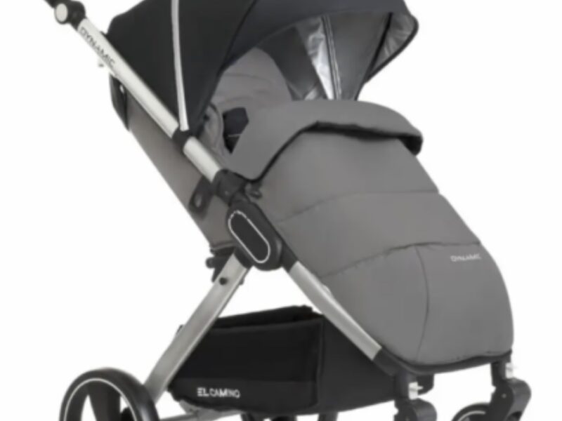 Коляска прогулянкова El Camino Dynamic V2 ME-1053-Onyx темно-сіра pelican