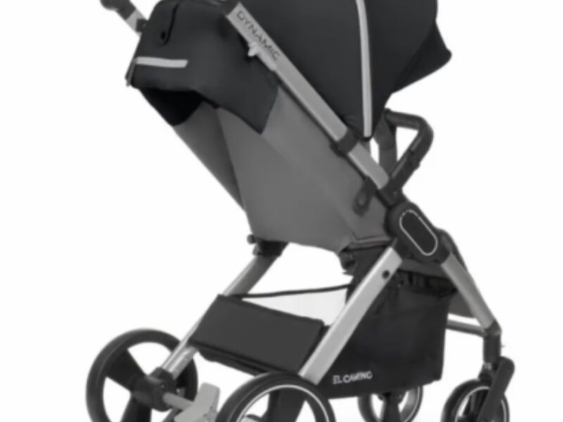 Коляска прогулянкова El Camino Dynamic V2 ME-1053-Onyx темно-сіра pelican