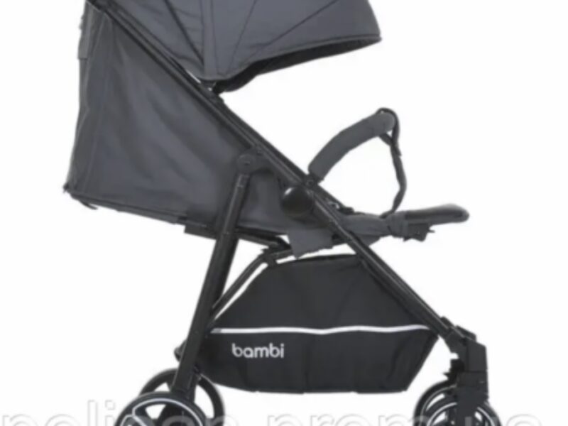 Коляска прогулянкова Bambi M-4249-2-Gray-Matt сіра 4863841