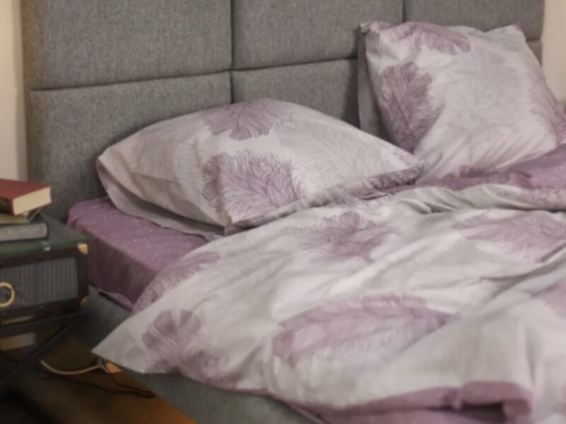 Комплект постільної білизни Viluta Ранфорс № 21158 Бузковий Півтораспальний