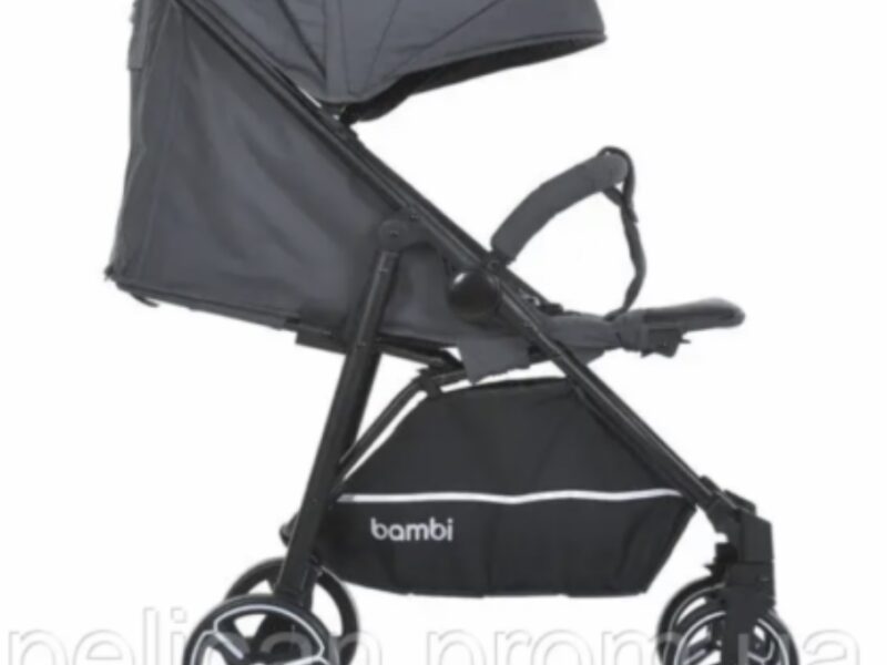 Коляска прогулянкова Bambi M-4249-2-Gray-Matt сіра 4863841