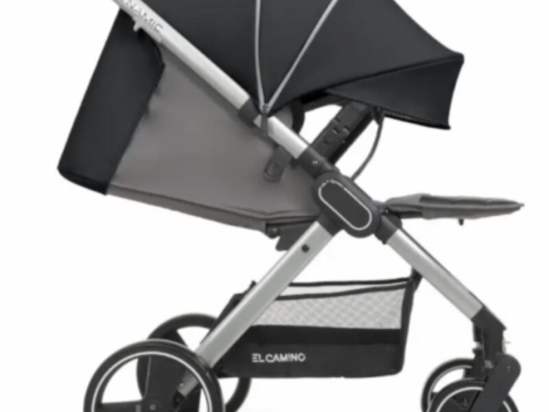 Коляска прогулянкова El Camino Dynamic V2 ME-1053-Onyx темно-сіра pelican