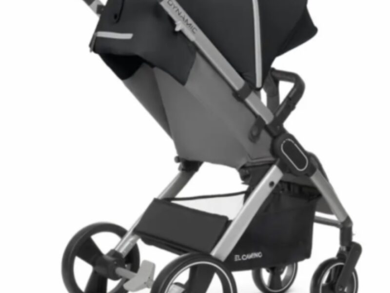Коляска прогулянкова El Camino Dynamic V2 ME-1053-Onyx темно-сіра pelican