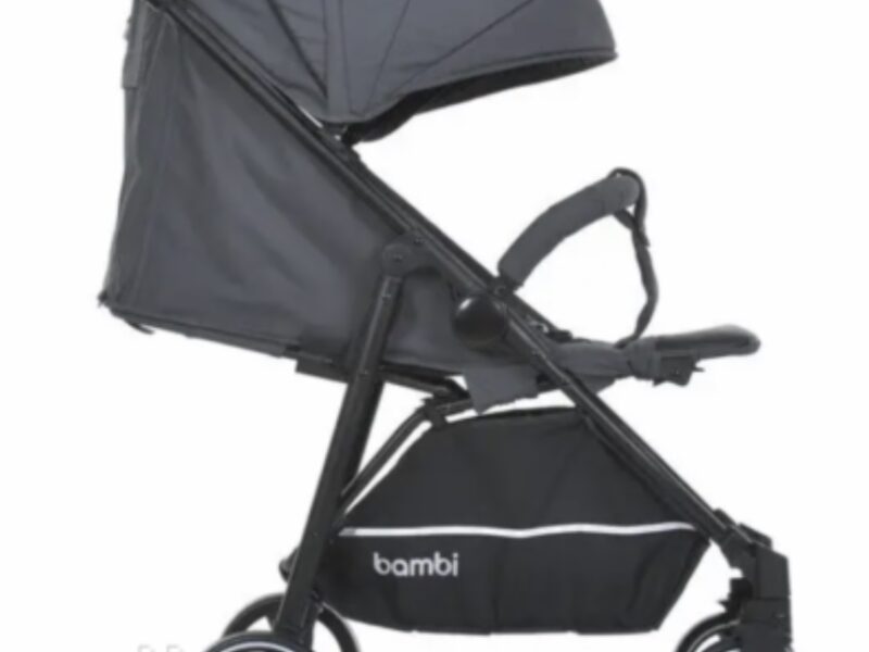 Коляска прогулянкова Bambi M-4249-2-Gray-Matt сіра 4863841