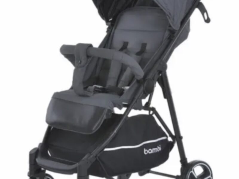 Коляска прогулянкова Bambi M-4249-2-Gray-Matt сіра 4863841