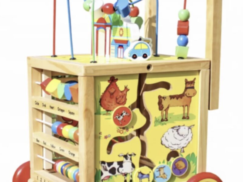 Дерев яний ходунок-куб SmartWalker 6в1 навчальний пхач, розвиваюча іграшка
