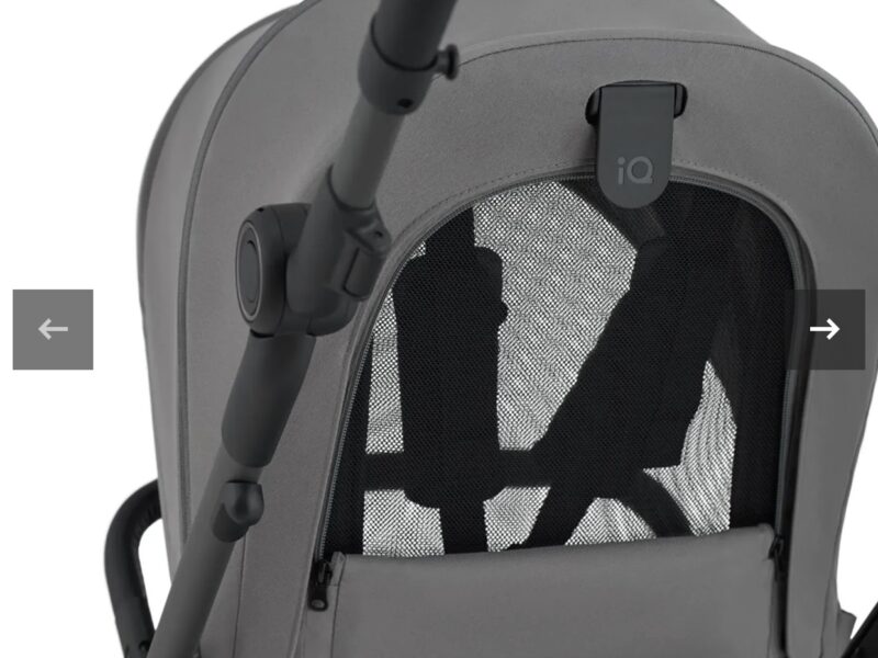 Коляска 2 в 1 Anex iQ Lune