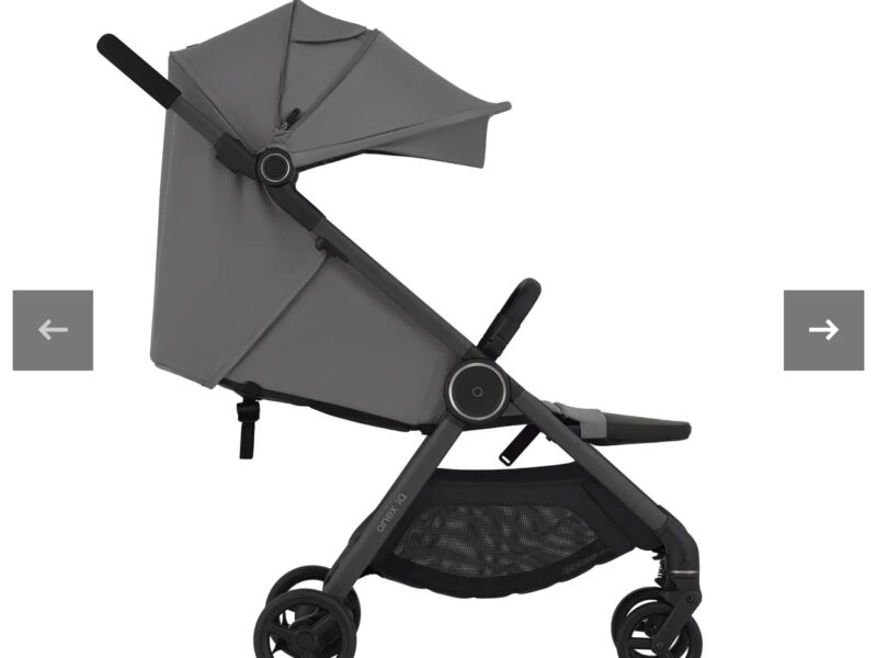 Коляска 2 в 1 Anex iQ Lune