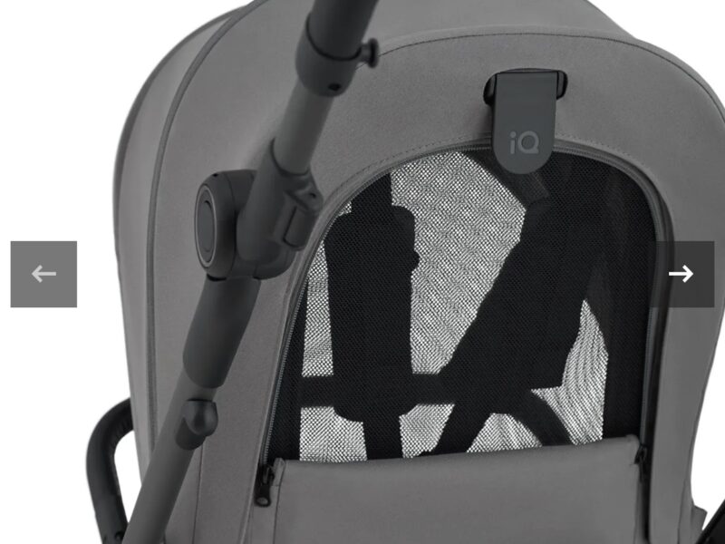 Коляска 2 в 1 Anex iQ Lune